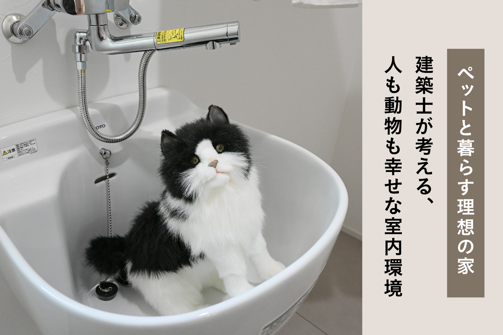 ペットと暮らす理想の家のアイキャッチ画像。スロップシンクの中に猫のぬいぐるみが入って、こっちを見てる写真。